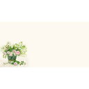 フロンティア 封筒 橋本不二子 薔薇とクロス