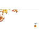 フロンティア 封筒 柿紅葉 6枚入
