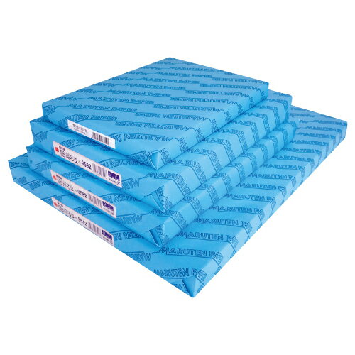 画用紙ゆきだるまA3　薄口（100枚）85A3【ゴークラ】