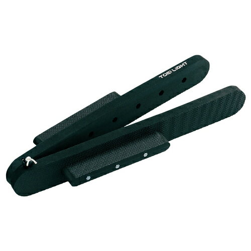 簡易スターターG1734【トーエイライト】