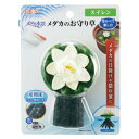 メダカのお守り草 スイレン1743828【ジェックス】