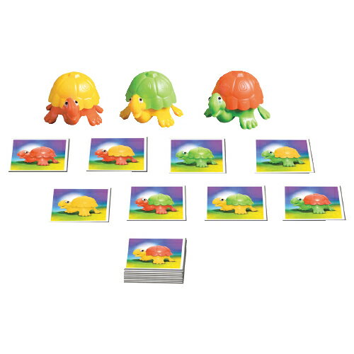 カメさんのこうら【ジーピー】