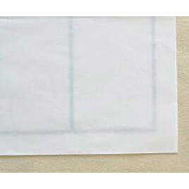 下敷　規格判　6・4マス入　ベージュ KA28-208S【呉竹】 2