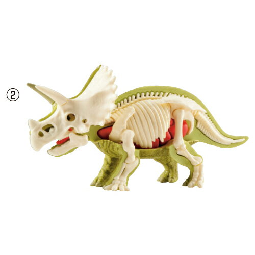 ティラノサウルス復元パズルティラノサウルス【メガハウス】 2