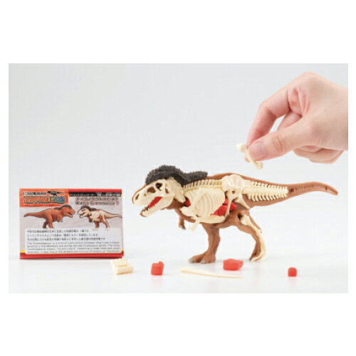 ティラノサウルス復元パズルティラノサウルス【メガハウス】 3