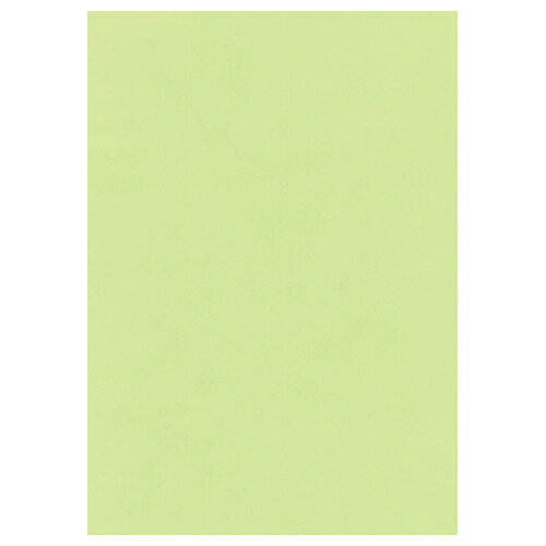 A4 Size Paper - 北越紀州製紙　NEWファインカラー　A4　500枚　グリーンKNFGA4【北越紀州製紙】