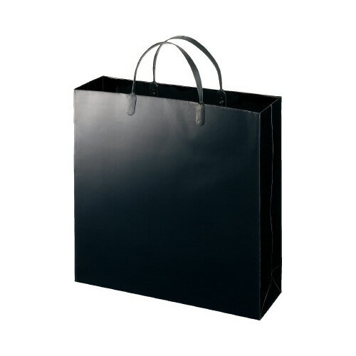 ラミネートバッグ 小 ブラック 10枚 W325×H315×D100mm LBS-BL【エヒメ紙工】