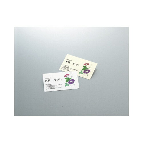 �ڤ椦�ѥ��å��б��ġۥޥ���ץ����̾���ѻ桡ξ�����̻桡ɸ�ࡡ10�̡�10�硿�ޡ��ʥ������� KPC-VE10W�ڥ������