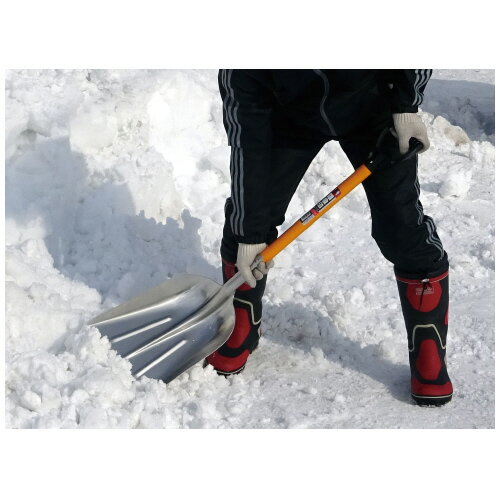 ����ߥ����åס���3D���������� ��Ĺ1080��Ƭ������295mm 003511�����ṩ�ȡ�