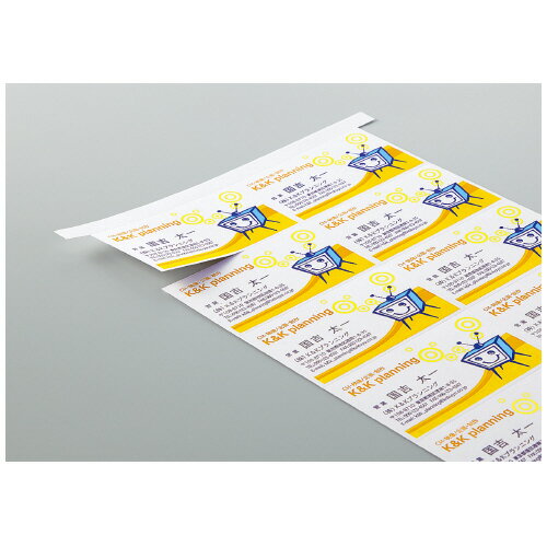 �ڤ椦�ѥ��å��б��ġۥ��顼LBP�����顼���ԡ���̾�ɥ����ɡ�ξ�̰����ѡ�10�̡�10�硿�ޡ�A4 LBP-10N�ڥ������