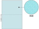 ヒサゴ マルチプリンタ帳票 B5 地紋 2面 100枚 BP2089