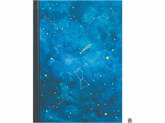 �ߥɥ�(�ǥ�����ե���) ���� ����� 12886006