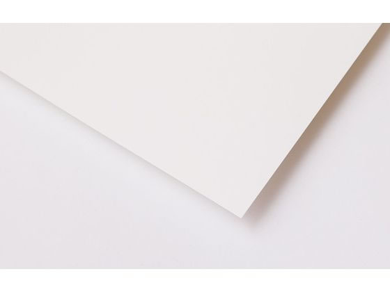 SAKAE TP �ե������ȥ���Ȼ� A4���� 186g 20�� F110-A4-20P