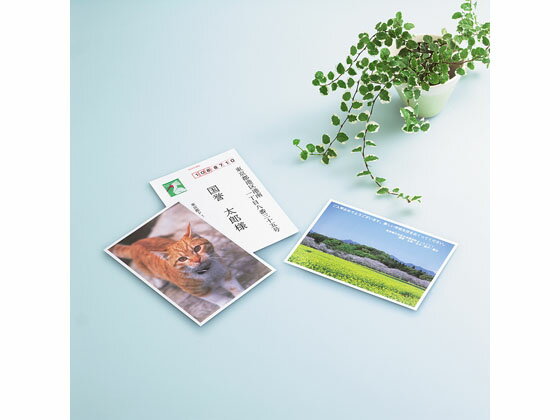 ������ ���󥯥����å� �Ϥ����ѻ� ������ 30�� KJ-GP3630N