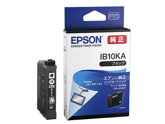 EPSON 󥯥ȥå ֥å IB10KA