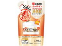 【お取り寄せ】常盤薬品 サナなめらか本舗とろんと濃ジェル エンリッチ詰替
