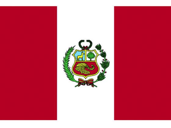 【お取り寄せ】東京製旗 国旗No.1(70×105cm) ペル- 416664