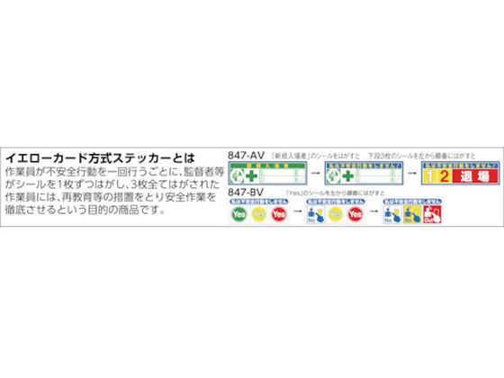 �ڤ����󤻡ۤĤ��� �إ��åȥ����뎢��������+����������åɎ�10���� 847-AV