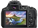 【お取り寄せ】エレコム デジタルカメラ用液晶保護フィルム DFL-H3043PGHD(2)