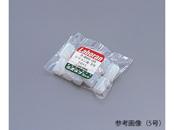 �ڤ����󤻡ۥ������ ��ܥ�󥷥ꥳ���� 11���� 1��