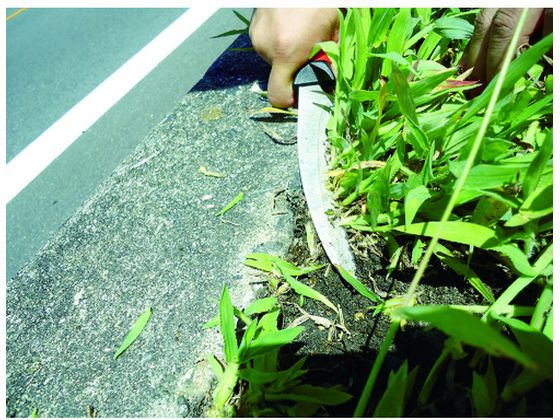 �ڤ����󤻡�DAISHIN ���ƥ�쥹�������ֳ� 700938