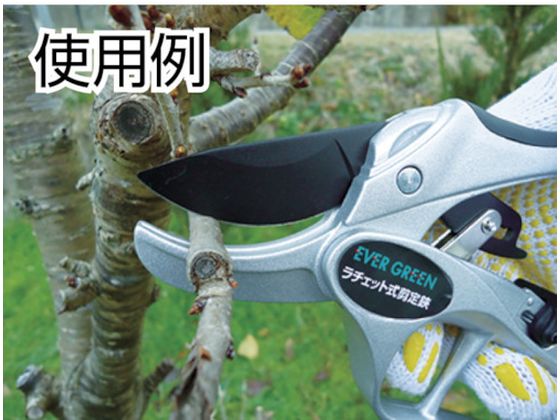 �ڤ����󤻡�DAISHIN EG ������åȼ�������DX 502372