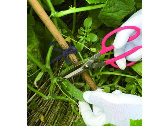 �ڤ����󤻡ۥɥ����� �����ǥ˥󥰥ޥ���Ϥ��� DK660