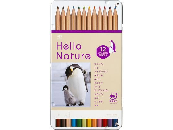 ڤ󤻡ۥȥܱɮ ϥͥ㡼 ɮ 12 ƥڥ󥮥