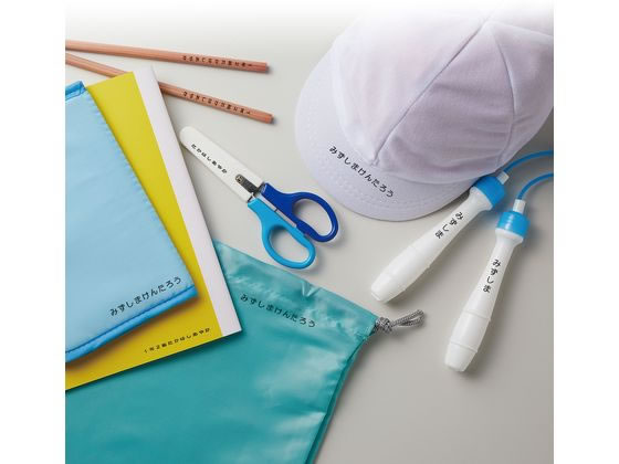 ������ϥ� ���ʤޤ���������� ���󥭥��å� GA-CSTP-K