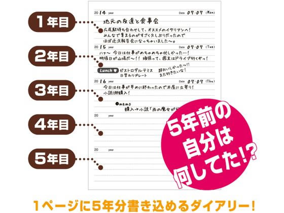 アーティミス 5年連用日記 ピンク DP5-PK