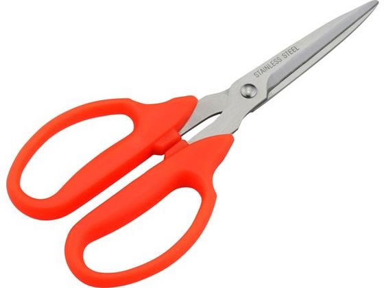 �ڤ����󤻡ۥ����֡���������ȥ꡼ �֤Ϥ��� ��Ĺ�� SV-6421