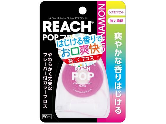 【お取り寄せ】銀座ステファニー リーチ ポップフロス シナモンミント 50m