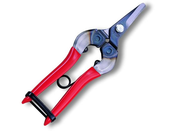 �ڤ����󤻡ۥ��륹�����ݥ졼����� �β��� Ȣ�� 310