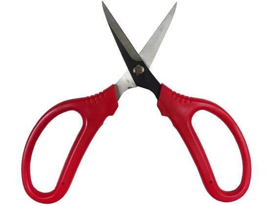 �ڤ����󤻡����ṩ�� ��ǽ�� �ڱ��� FG-S120R #190075