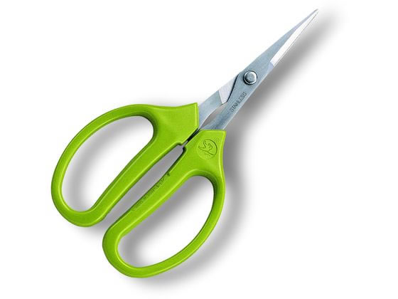 �ڤ����󤻡ۥ��륹�����ݥ졼����� ���㡼�ץ���ե� ľ�� 330S-T