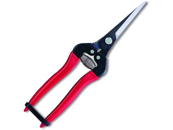 �ڤ����󤻡ۥ��륹�����ݥ졼����� Ŧ�̥������ȥ���� 300LL-BP