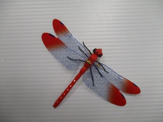 【お取り寄せ】コンパル ガーデン・赤トンボ