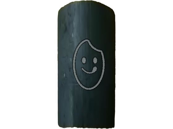 グローバル・ジャパン う米炊きマイスター 竹炭ちゃん 2個入