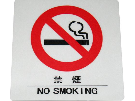 ڤ󤻡ۤ Ϥ륵󥷡 ر  AS-101 8494100