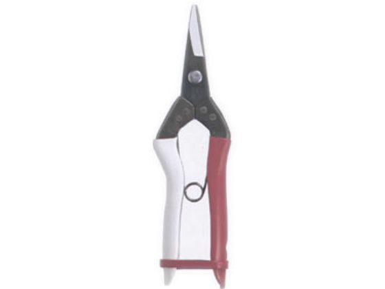 乐天商城 - 【お取り寄せ】岡恒 摘果鋏 箱入 #307