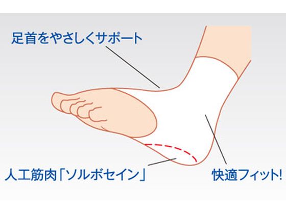 【お取り寄せ】三進興産 ソルボヒールサポーター(片足) 左右兼用 オフホワイト L 1枚