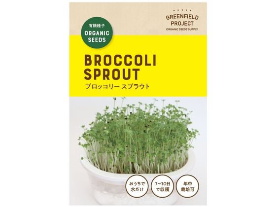 【お取り寄せ】GFP オンラインレッスン用 有機種子 ブロッコリースプラウト