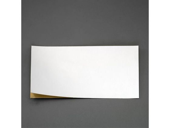 【お取り寄せ】エスコ 100×200×0.2mm スチールシート 粘着剤付 2枚 EA441VH-1