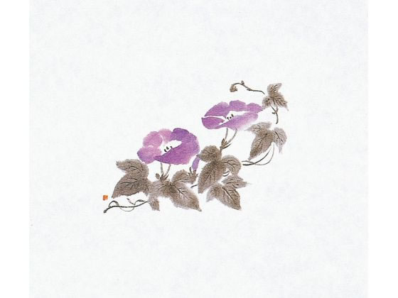 【お取り寄せ】マイン 鮮度保持紙 100枚入 M30-094 朝顔 3271700