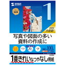 【サンワサプライ】インクジェット用スーパーファイン用紙 A4サイズ100枚入り JP-EM5NA4-100 【TC】