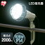   LED ɿ 2000lm LWTL-2000CK ץå饤 PROS Lite 饤  饤     ۸ Ĺ̿  ꥹ