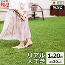 人工芝 ロール 1m×20m 芝丈30mm IP-30120送料無料 アイリスオーヤマ 芝生 リアル人工芝 芝 ベランダ 国産 ガーデニング バルコニー ベラン...