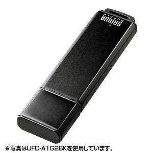 【サンワサプライ】UFD-A1G2BKK USB2.0 メモリ 1GB ブラック 【TC】【パソコン周辺機器/PC/セキュリティ】セキュリティソフト付き USB【送料無料】05P18Jun16