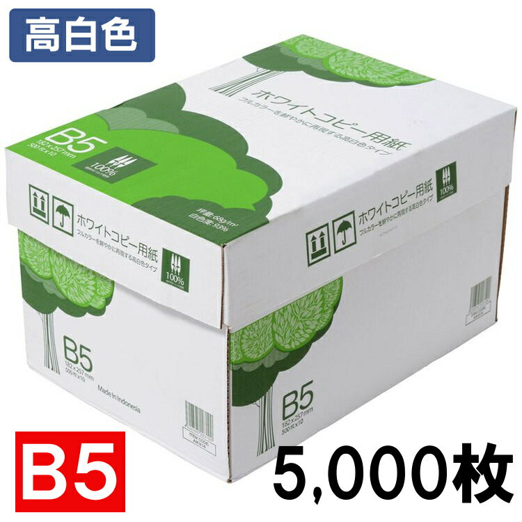 [ポイント5倍！7日12時迄][新商品]コピー用紙 B5 5000枚 5，000枚 送料無料 高白色 APP ホワイト コピー用紙B5 白色度93% 紙厚0.09mm 5000枚（500枚×10冊） WC914PEI大容量 用紙 印刷用紙 消耗品【D】