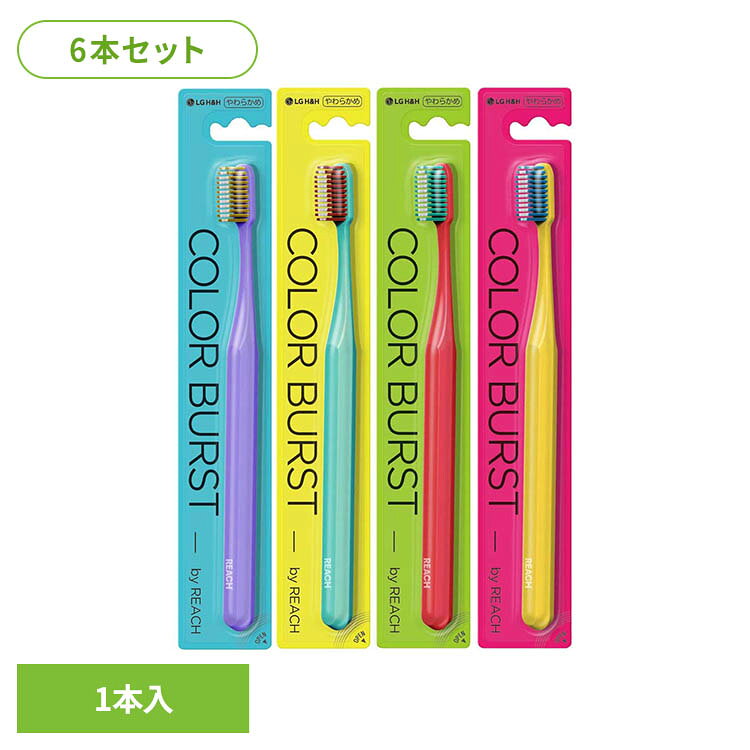 豊富なカラーバリエーションが特徴。握りやすいグリップと歯周に特化したブラシで、機能面も充実。歯と歯ぐきの間に入るVライン設計で歯周の歯垢をしっかり除去します。※カラーはお選びいただけません。※リニューアルに伴い、パッケージ・内容等予告なく変更する場合がございます。予めご了承ください。●商品サイズ（cm）幅約4×奥行約23.7×高さ約2●内容量6本●原材料柄の材質・・・ポリプロピレン　毛の材質・・・飽和ポリエステル樹脂（検索用：リーチ 歯ブラシ オーラル オーラルケア 4571537799270）最強翌日配送対象商品に関するご案内 最強翌日配送対象商品・対象地域に該当する場合は最強翌日配送マークがご注文カゴ近くに表示されます。 最強翌日配送可能なお支払方法は【クレジットカード、代金引換、全額ポイント支払い】のみとなります。 下記の場合は最強翌日配送対象外となります。 ・15点以上ご購入いただいた場合 ・時間指定がある場合 ・ご注文時備考欄にご記入がある場合 ・決済処理にお時間を頂戴する場合 ・郵便番号や住所に誤りがある場合 ・最強翌日配送対象外の商品とご一緒にご注文いただいた場合 ・お届け先住所文字数が40文字以上の場合【置き配規約について】